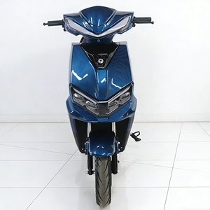 Scooter électrique à succès en Inde, roue monobloc de 10 pouces, suspension intégrale, prix CKD, moto électrique 1000W - Product Image 3