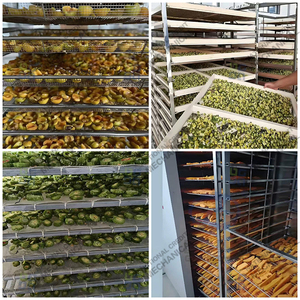 Séchoir à ail noir, machine de séchage pour laitue, <span class=keywords><strong>chou</strong></span>, persil, légumes, oignon, curcuma, gingembre - Product Image 4