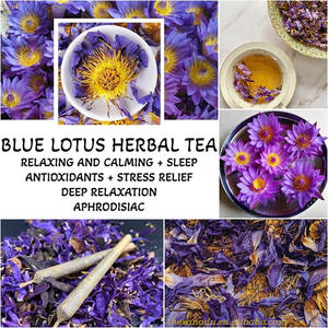 Norme européenne en vrac Nymphaea Caerulea Égyptien Fumer Fleur de Lotus Bleu Fleur Sèche Thé Récolte Durable Organique Fumer Légalement - Product Image 4