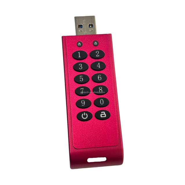 Goldenfir Encrypted USB (Red 2) Flash Drive 32GB 64GB 128GB 256GB Digital Physical Encryption USB Flash Drive Safe and Reliable
