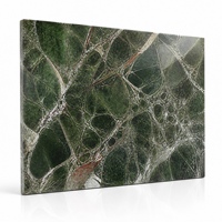 Dalle de pierre frittée polie verte de qualité supérieure 1800x1200x9mm, veinée verte brillante, pour comptoir, mur, sol, chambre et aménagement paysager