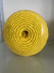 Kualitas Terbaik kekuatan tinggi pp <span class=keywords><strong>baler</strong></span> <span class=keywords><strong>twine</strong></span> pertanian <span class=keywords><strong>baler</strong></span> <span class=keywords><strong>twine</strong></span> untuk hay baling - Product Image 6