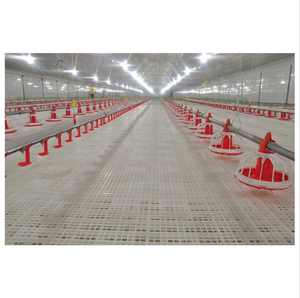 ระบบให้อาหารอัตโนมัติสำหรับโรงเรือนไก่เนื้อ - Product Image 6