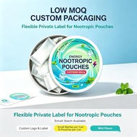 Pochettes de caféine OEM sans nicotine, gommes énergétiques, pochettes nootropiques, supplément pour la concentration cérébrale, marque privée pour la vente au détail