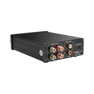 Amplificateur de Subwoofer Mini <span class=keywords><strong>AIYIMA</strong></span> A1001 100W Classe D HiFi Mono Numérique Haute Puissance pour la Maison Guangdong - Product Image 3