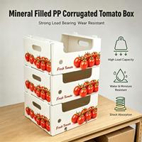 Caisse à tomates en plastique ondulé imperméable, panneau creux en PP, caisse à fruits pour la récolte et le transport