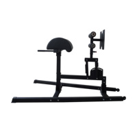 Chaise romaine d'hyper-extension d'exercice de dos de machines de sport chargées par plaque