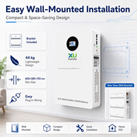Penyimpanan Energi Surya Powerwall 100Ah 200Ah 10Kw 5kw 48V 51.2V Baterai Lithium Lifepo4 Terpasang di Dinding untuk Rumah