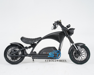 Moto Elettrica Sportiva 2000W MANGOSTEEN Fuoristrada, Disponibile in Magazzino in Svizzera - Product Image 6