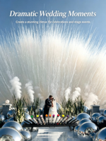 Canon à confettis et feux d'artifice colorés, déclencheur TNT, en forme d'éventail, une seule rangée, ensemble de 16 déclencheurs, pour révélation du sexe, mariage, scène, fête