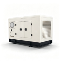 Générateur diesel portable durable 12 kW pour éclairage de cabane de trappeur isolée et charge de perceuse