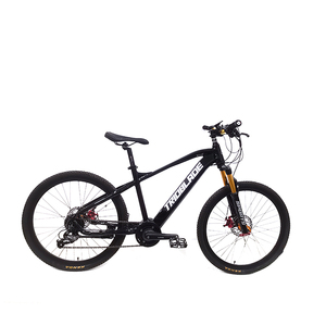 Bicicleta Eléctrica E-Bike 26 - Product Image 1