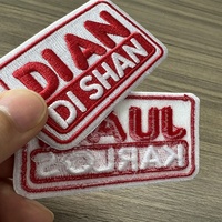 Patch Bordir Blok Warna Desain Kustom, Patch Pakaian yang Dapat Disetrika, Patch Logo Bordir 3D Klasik Berkualitas Tinggi Grosir