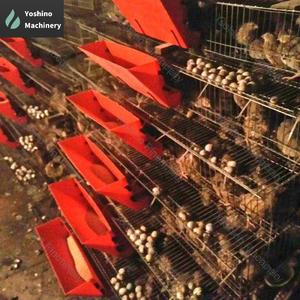 Gabbie automatiche di tipo H a 5 livelli <span class=keywords><strong>per</strong></span> galline ovaiole in allevamento di pollame. - Product Image 6