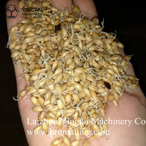 Sistema Promalting, Máquina Inteligente para el Malteado de Granos de Cereales para Expertos en Malteado - Product Image 5