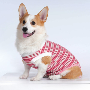 חליפת עיקור לכלבים נוחה ונושמת לאחר ניתוח, מונעת ליקוק, מכנסיים סניטריים לגמילה לחיות מחמד, לכלבים קטנים ובינוניים - Product Image 2