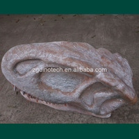 Réplique de crâne de dinosaure grandeur nature faite à la main pour musée de dinosaures ou exposition de fossile de tête de Yangchuanosaurus en fibre de verre