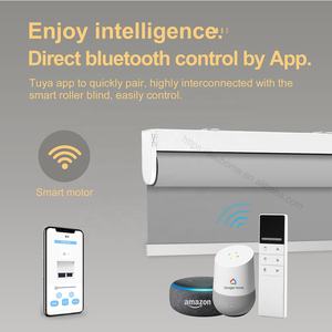 Persianas enrollables eléctricas automáticas para ventanas, persianas inteligentes con carga USB, tamaño personalizado - Product Image 3