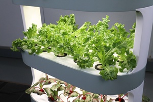 Irrigation Hydroponics Equipment PP Material Hydroponics Agricultural Greenhouse Growing Vegetable Planter - Product Image 4