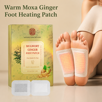 Patch de Soin des Pieds au Gingembre et à l'Armoise : Chaleur Apaisante, Nourrit les Pieds, Réduit la Sensation de Lourdeur des Membres Inférieurs, Soulage la Fatigue, Entretien Doux des Pieds