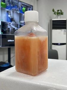 เซรั่มม้าแบบกำหนดเอง FBS เซรั่มทารกในครรภ์วัว 500 มล. สารเสริมภูมิคุ้มกันสำหรับการเพาะเลี้ยงเซลล์ โรงงานผลิต FBS ในจีนสำหรับอุปกรณ์ห้องปฏิบัติการ - Product Image 3