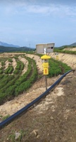 Lámpara LED Solar Seedafarm para Control de Plagas Agrícolas con Luz Negra, 2 Años de Garantía, 20 kg, para Huertos y Estanques de Peces