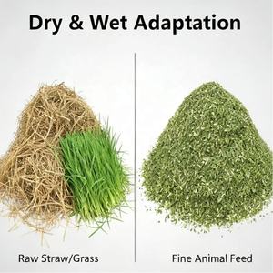 Hochleistungs-Häcksler Verstellbarer Strohschredder & Feldrückführmaschine Landwirtschaftliche Futtermittelverarbeitung Futterhäcksler - Product Image 6