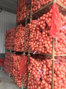 Premium Fresh Yellow/Red <strong>Onions</strong> Top Grade -peeled <strong>in</strong> Mesh Bags From Gansu <strong>China</strong> for Global <strong>Export</strong> - Product Image 6