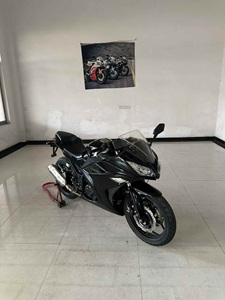 Xiao Ren Zhe 250 - Moto d'<span class=keywords><strong>occasion</strong></span> à deux roues à essence, finition d'origine, garantie de qualité - Product Image 4