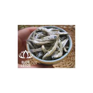 Poisson d'anchois séché au soleil le plus vendu-Poissons de qualité supérieure Fruits de mer Poissons d'anchois séchés du Lotus bleu du Vietnam - Product Image 1