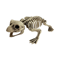 Décoration de squelette de grenouille réaliste effet vieilli, figurine d'os d'amphibiens pour exposition de diorama sur le thème des marais, cimetière, pelouse, Halloween