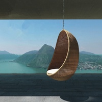 Balançoire en rotin avec coussin et housse, Patio intérieur ou extérieur, tissage de jardin, chaise oeuf suspendue
