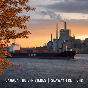Transit maritime garanti BHC FCL LCL Chine vers Davie, Floride – Transport spécial de séchoirs à linge et de produits de cargaison - Product Image 4