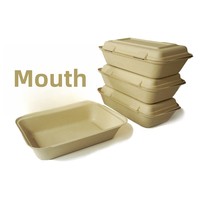 Vaisselle jetable biodégradable en pulpe de bambou, qualité alimentaire, compatible micro-ondes, capacité 900 ml, boîtes à gâteaux, bento, repas, boîtes à emporter