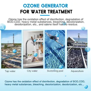 Générateur d'ozone haute capacité pour le traitement de l'eau Accessoires de générateur d'ozone Piscine de purificateur d'eau à l'ozone