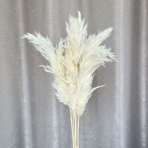 Hierba de pampas pequeña de colores de alta calidad al por mayor para decoraciones de bodas y materiales florales de floristería - Product Image 5