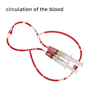 Kit Interattivo di Anatomia del Sistema Cardiovascolare: Modello di Pompa Cardiaca per Progetti Scientifici, Risorsa Didattica Sostenibile e Robusta - Product Image 1