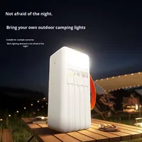 Batterie externe en plastique à polymère de lithium ultra-grande capacité 50000 mAh avec LED, recharge rapide, vente en gros transfrontalière directe usine