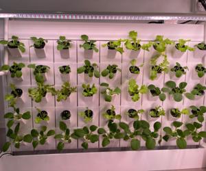 التجارية aeroponic النمو الجدار شنت nft garden عمودي مشتل زراعة مائيّة النباتات في الأماكن المغلقة نظام الجدار - Product Image 4