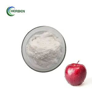 Sıcak satış doğal meyve özü gıda sınıfı elma şırası sirke 5% toz