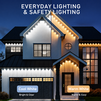 Luces LED para Aleros de Techo, 40 LED/20 m, DC24V, Control Inteligente por Aplicación, PC+Silicona, IP67, Impermeables, para Decoración de Fiestas, Hogar y Días Festivos