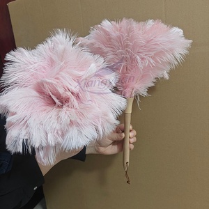 <span class=keywords><strong>Plumeau</strong></span> en Plumes d'Autruche de Haute Qualité, Emballage Personnalisable, Lavable, pour Usage Domestique - Product Image 5