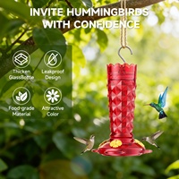 Mangeoire à colibris en verre rouge de 16 oz pour l'extérieur, mangeoire suspendue anti-fuite pour oiseaux sauvages, pour jardin extérieur, personnalisable