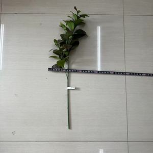 ใบเพเปอโรเมียเทียม3สาขาปรับแต่งสไตล์และการตั้งค่าต่างๆได้ตามต้องการ - Product Image 4