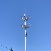 Tour de télécommunication galvanisée personnalisée 10-60m Tour monopole Internet