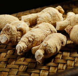 Toptan ucuz fiyat kurutulmuş amerikan ginseng orijinal amerikan ginseng ham kök satılık - Product Image 2