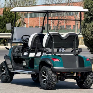 4座新型电动微型车Ev汽车汽车新能源汽车个人电动车高尔夫球车 - Product Image 5