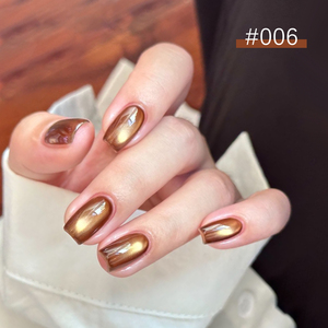 ZRKGEL Usine OEM/ODM – Kit de vernis à ongles gel œil de chat 12 couleurs pour l'automne, marque <span class=keywords><strong>privée</strong></span>, haute pigmentation, magnétique, UV/LED – Fournisseur de gels à ongles - Product Image 4