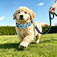 Nouvel Arrivage : Ensemble Collier et Laisse Personnalisable en Silicone Alimentaire pour Animaux de Compagnie, Motif Chat et Chien de Dessin Animé, Réglable, Idéal pour les Voyages en Extérieur