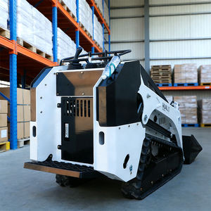 شحن مجاني، لودر تجاري صغير معتمد من CE وEPA، لودر خشبي صغير رخيص بالجملة، لودر انزلاقي صغير للبيع - Product Image 6